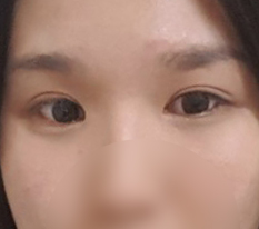 현대미학베스트셀피