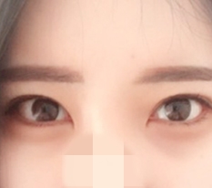 현대미학베스트셀피
