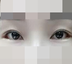 현대미학베스트셀피
